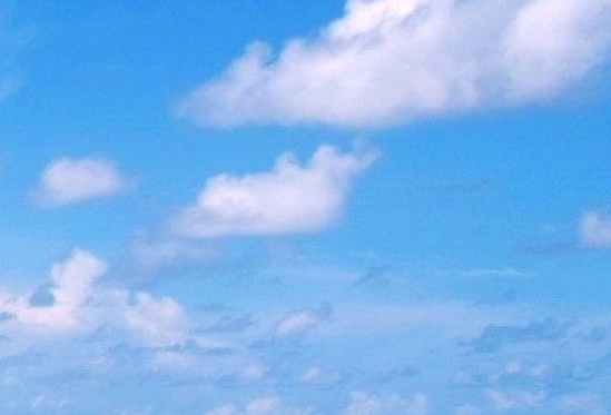 生活需要点缀,才能有滋有味