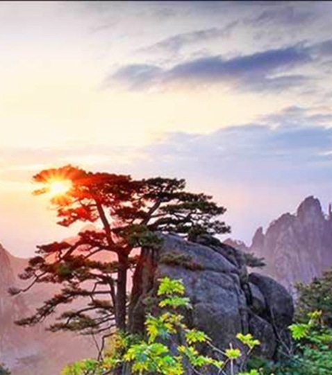 日常生活小趣事聊天