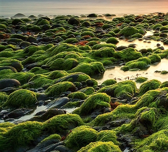 生活苦累的图片句子