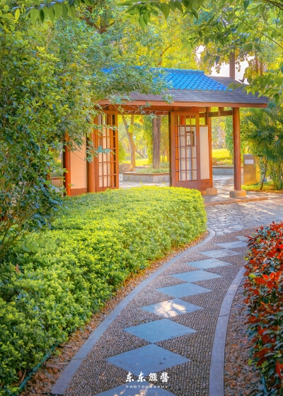 小班居家生活活动