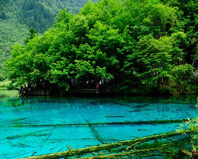 ps怎么绘制海报