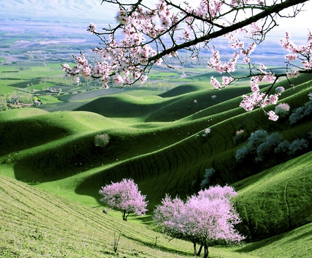 佛山生活老师招聘