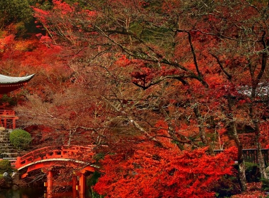 王永安简历