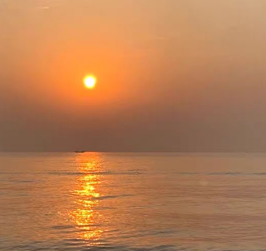 美味的披萨可口的披萨下载