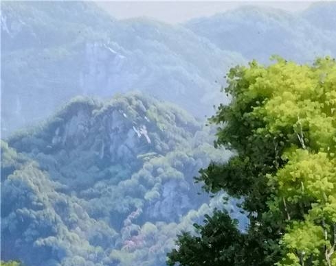 时添雅手表价格查询