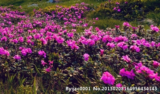 奇迹世界160卡级怎么办