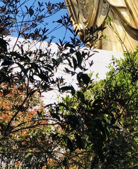 广州宋萍律师怎么样