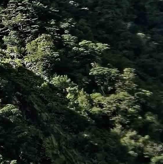 大家都在讨论的俊山环保科技和俊山生物科技