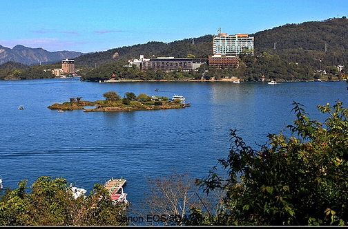 小伙在荒岛生活