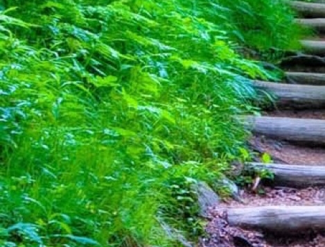 扶沟元弘信息科技