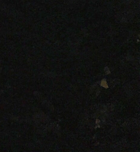 好吃美味的家常菜做法大全