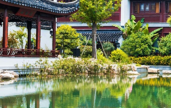 广州罗欢平律师简历
