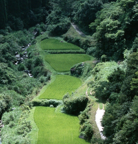 科技路与黄厂地铁站壁画更新，西直门地铁站壁画维持不变