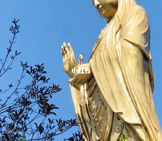 奇迹少女手游