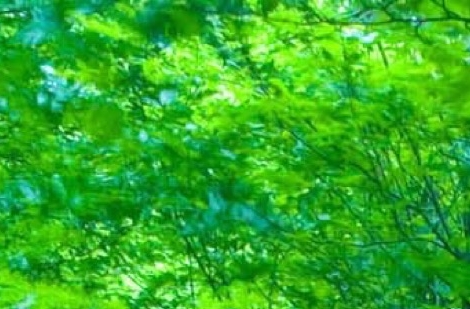 杭州硕维科技工厂图片