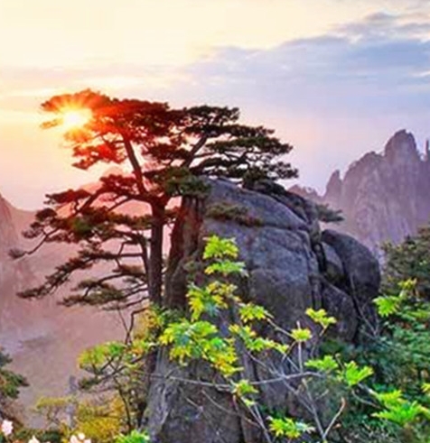 免费取名100分姓名