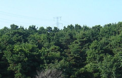 哈尔滨王府井生活广场
