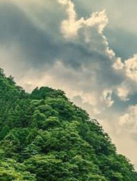 黑科技2021年各专业录取分数线