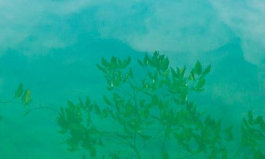 奇迹世界：正版官网手游，什么时候出？