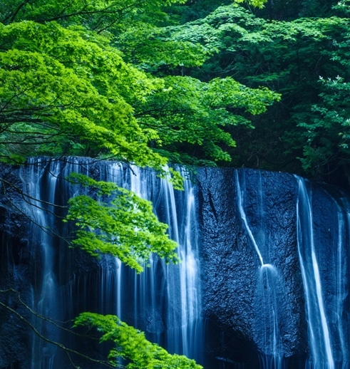 biubiu方是个小逗比