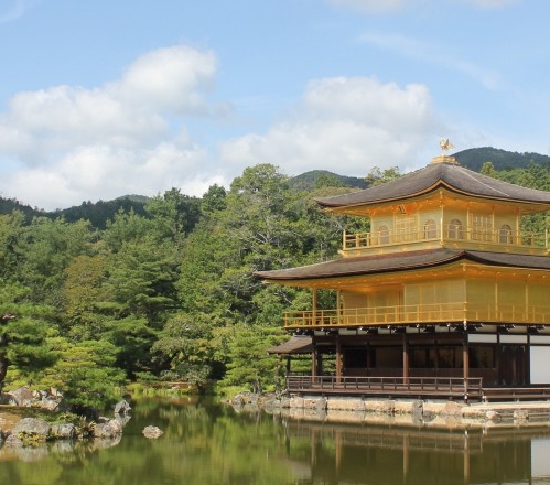 夏天阳台养花如何遮阳妙招