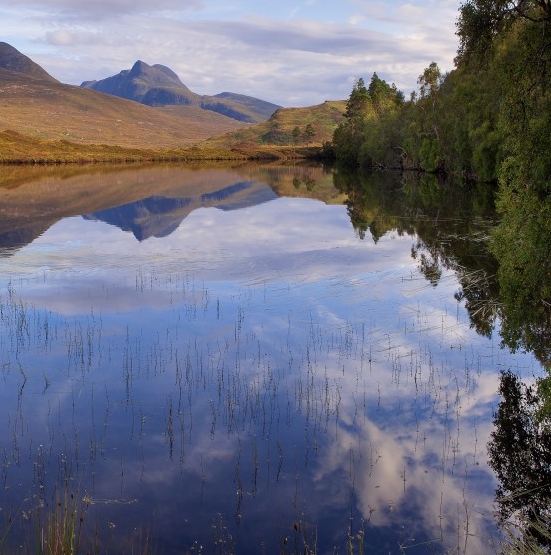 注册科技公司有哪些行业