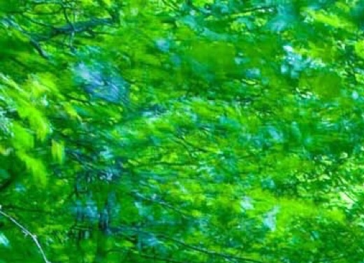 残剑奇迹、剑网1归来、枫残琴直播间：三大游戏直播平台，玩转游戏世界！