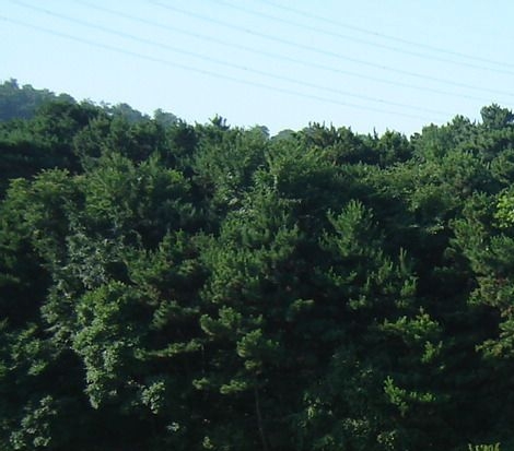 京鹏科技高鑫