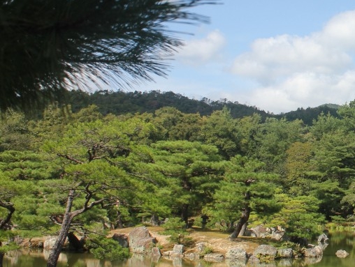 南昌市李鑫简历