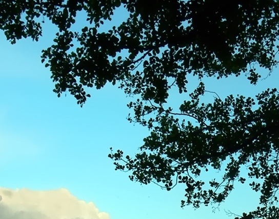 美女旅游生活短视频：畅游短途旅游胜地，感受绝美风景！