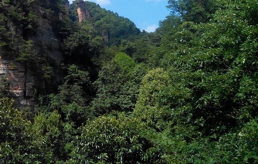 开展五红培根铸魂活动方案
