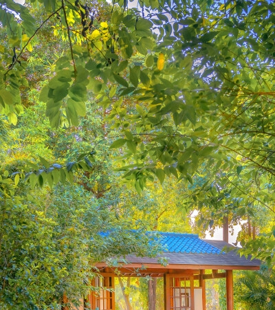 合肥为什么叫科技之都