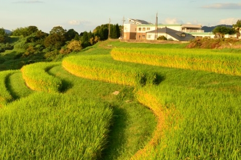 电力神奇！家里突然停电，灯却亮着？！