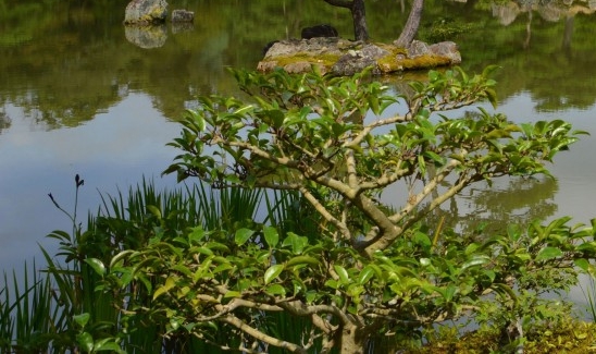 周口消防水池厂家