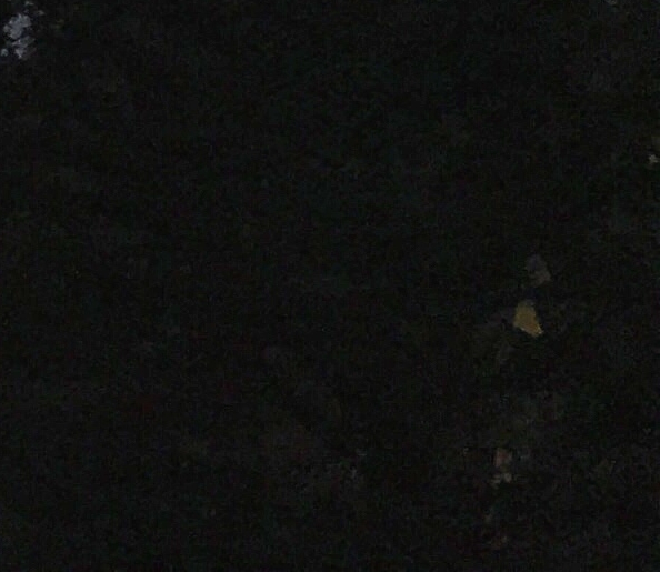 奇迹闪耀！小火焰猴的勇敢与坚韧