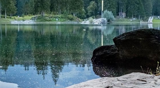 催债公司客服怎么样