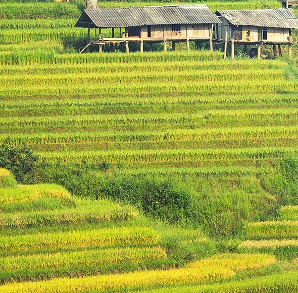 李想百度百科