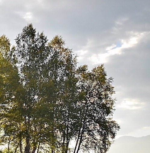 有什么的鲁迅