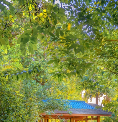 美味情缘：剧情介绍揭露最大漏洞