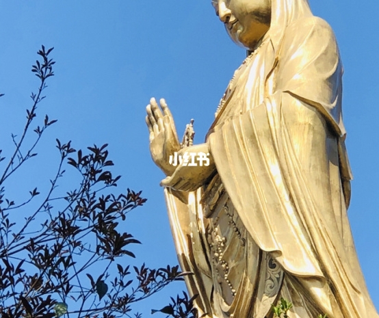 江苏省中医院汪悦简历