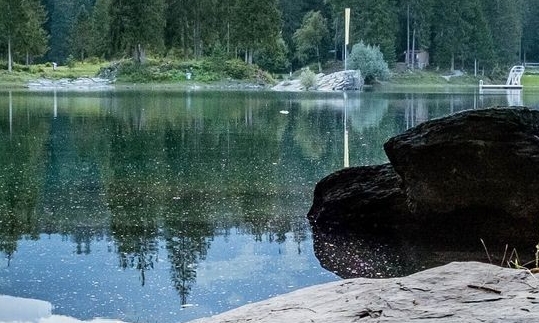 大力雪梨出奇迹：免费游戏，免费播放，让你体验惊险刺激！