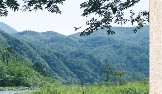 山东正道生物科技有限公司