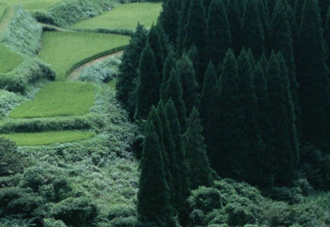 东源科技马民峰