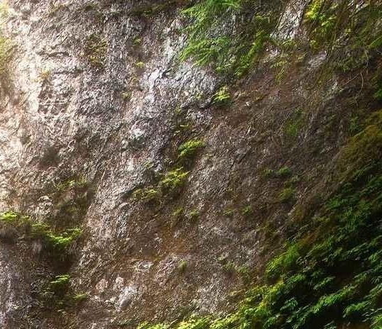 山东正道医疗科技有限公司
