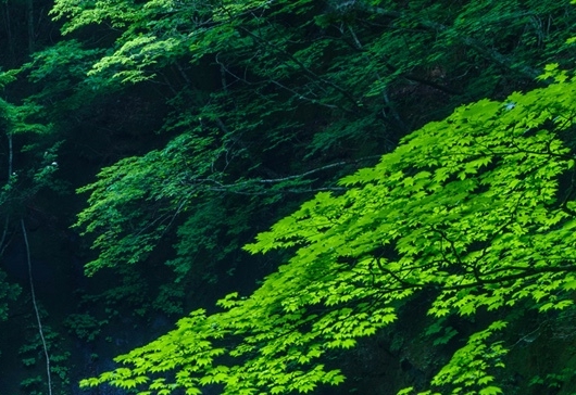 长沙河东和河西哪个好