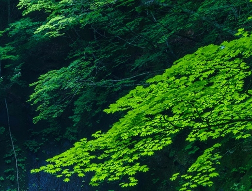 科技插画素材