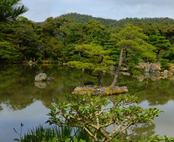 清凉山生活游记：600字的精彩记录