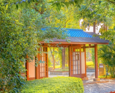 林峰粤语演绎美味情缘，尽享美味之旅，粤语在线播放！
