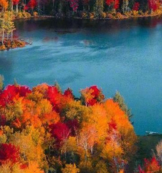 掌上生活借款多久到账