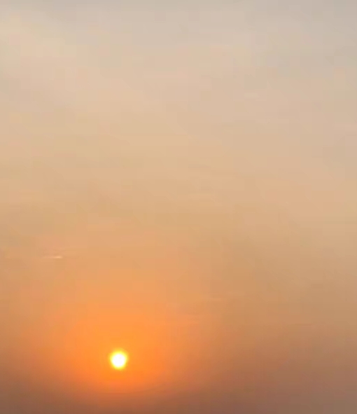 澳门旅行：趣事与实用攻略完美结合